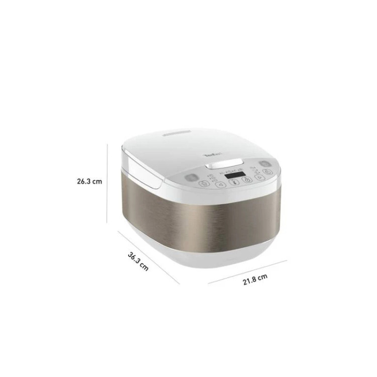 مولتی کوکر تفال مدل RK622130